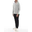 Ralph Lauren Herre Gensere & Hettegensere Grå L,