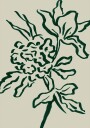 Flower Plakat Plakat / 100x150cm