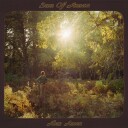 Alex Amen  Sun Of Amen  CD