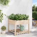 Hageplantekasse med hylle 90x90x76 cm Solid furu