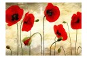 Veggmaleri Painted Poppy 250x193 - Artgeist sp. z o. o.
