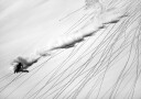 Skiing Powder Plakat / 40x50cm