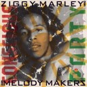 Ziggy Marley  Conscious Party  CD
