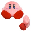 Kirby Kirby Form