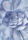 Blue Flower Cactus Plakat Plakat / 100x150cm