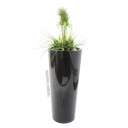 Europalms Mixed Grass Bush, 90cm