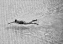 Dynamic Pool Swimmer Plakat / 50x70