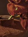 Evio Vase H22 cm Burnt Umber