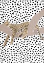 Leopard Sleeping Polkadots Poster Plakat / 30x40cm