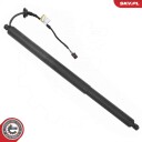 Elektromotor bakluke ESEN SKV 52SKV172