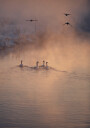Where the Fog Didn’t Reach Plakat Plakat / 70x100cm
