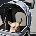 Sort Trillevogn Til Hund Hundevogn Med 4 Hjul