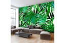 Fototapet Tropical Leaves 250x175 - Artgeist sp. z o. o.