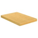 Bordplate 60x100x4 cm bambus 352721