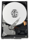 Seagate ST3320311CS Pipeline HD OEM intern harddisk 320GB 5900RPM SATA2 3,5"