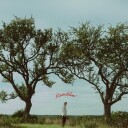 Dylan Gossett Ramblin Limited Edition Vinyl Oak Tree Green