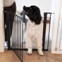 Dogspace Lassie Hundegrind Sort 62.5-106.8 X 72.5 cm