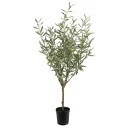Mr Plant Oliventre 130 cm
