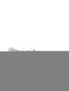 Jack & Jones Jfwaspire Canvas Sneaker   White   43