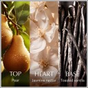Chanson d"Eau Vanilla Fragrance Mist 75 ml
