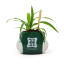 Harry Potter Vase Slytherin