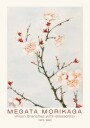 Megata Morikaga Plum Branches with Blossoms Plakat Plakat / 30x40cm