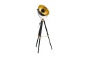 Gulvlampe Eglo Covaleda   Svart/Messing/Gull