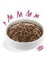 Edgard & Cooper™ Fullfôr 2.5 kg