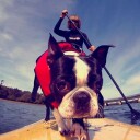 Ezydog flytevest Micro Rød XXS 22-30cm <7kg