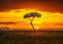 Primordial Africa Poster Plakat / 30x40cm