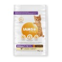 Iams Vitality Kattunge Tørrfôr med Kylling 10 kg