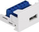 Delock Easy 45 USB trykklåsmodul hvit