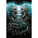 Spiral Plakat Flaming Spine - 91,5 x 61 cm