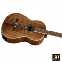 Ortega Guitars Ortega Re30th-Aca Nylonstr. Gitar M.Mik 30th Anniversary