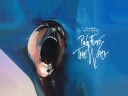 Pink Floyd  The Wall DVD