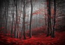 Bloody River Poster Plakat / 50x70cm