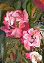 Expressive Pink Peonies Plakat Plakat / 70x100cm