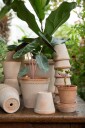 Bergs Potter Helena Raw Ø 14 cm Sett Rosa