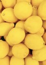 Lemons Plakat Plakat / 40x50cm