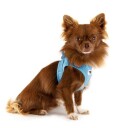 Curli Hundesele Clasp Air-Mesh XS Lyseblå