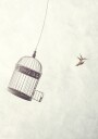 Flying Towards Freedom Plakat Plakat / 100x150cm