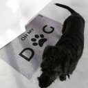 MADABOUTMATS Dørmatte med tekst Hund Scraper Blackie 67x110cm