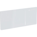 KONTROLLPLATE, FOR GEBERIT F