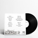 The Lumineers  The Lumineers  LP/Vinyl
