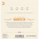 D'Addario EJ74