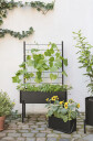 Eva Solo Simply Grow Altankasse - Black - 20X42X20CM