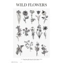 Ville Blomster Sort Hvit Plakat - 91,5 x 61 cm