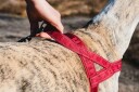 Hurtta Casual Harness 35-55 cm 35 cm Raven