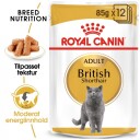 Royal Canin British Shorthair Våtfôr 12 x 85 g - Fullfôr til voksne katt