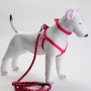 3 Delers Selesett Til Hund: Sele/Halsbånd/Kobbel